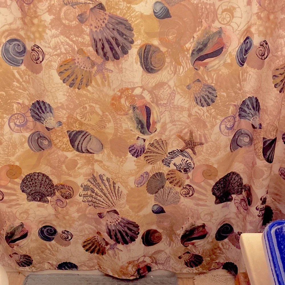 🚨🥷 bundle sale item oceanic seashells Full length standard fabric shower curtain